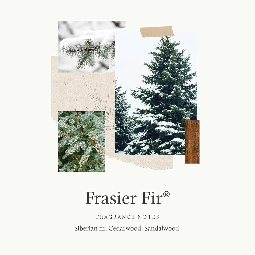 Frasier Fir Scented Candle - Frosted Plaid Design, Green & White Jar, Crisp Siberian Fir & Cedarwood Aroma (10 oz)