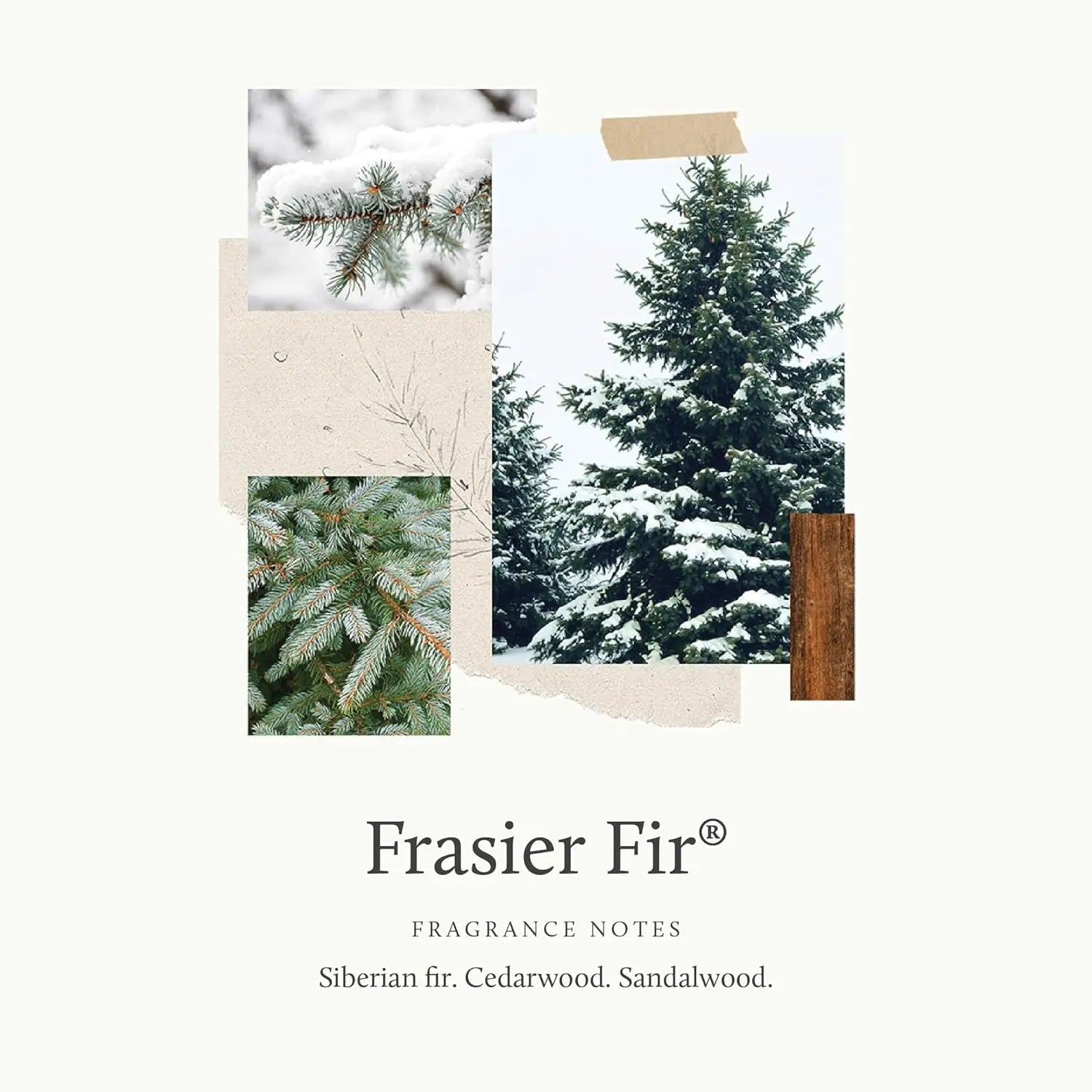 Frasier Fir Scented Candle - Frosted Plaid Design, Green & White Jar, Crisp Siberian Fir & Cedarwood Aroma (10 oz)