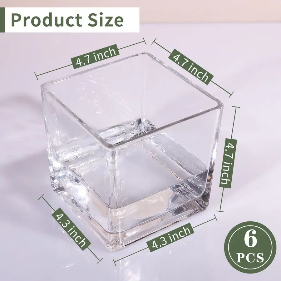6 Pack Square Glass Vases 5 x 5 x 5 Inch, Clear Cube
